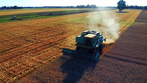Combine-Harvester-Harvesting-Wheat-In-Agricultural-Field-At-Daytime---drone-shot