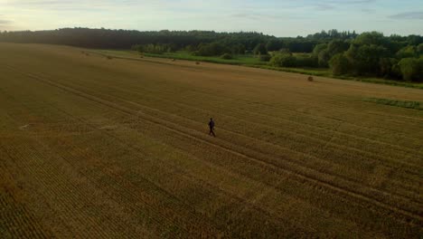 Aerial-drone-view-of-a-man-walking-in-the-field-after-harvest