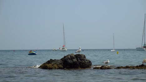 Sailing-boats-anchored-at-the-shore-of-France-with-in-the-foreground-some-seagulls-chilling-on-the-rock-and-someone-falling-from-his-rubber-boat