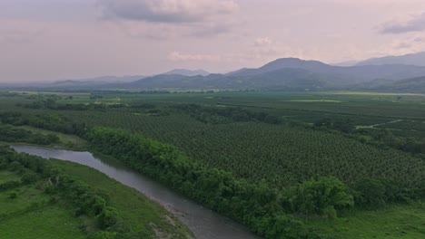 Aerial-View-Of-Haina-River,-Coconut-Farm-Fields-And-Mountains-In-Villa-Altagracia,-Dominican-Republic---drone-shot
