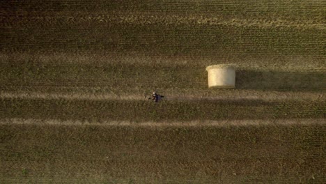 Aerial-top-drone-shot-of-a-man-walking-in-the-middle-of-the-field-after-harvest
