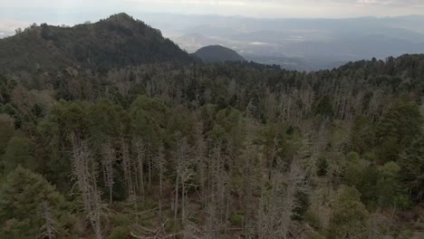 Vuela-Sobre-El-Bosque-Alpino-Y-Las-Montañas-Con-Cielo-Brumoso-En-El-Parque-Nacional-Nevado-De-Colima,-Jalisco,-México