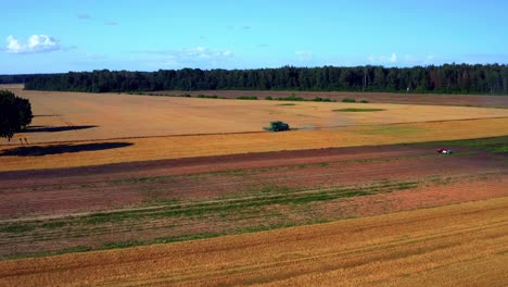 Panoramic-View-Of-Golden-Crops-With-Tractor-Harvester-In-Distance