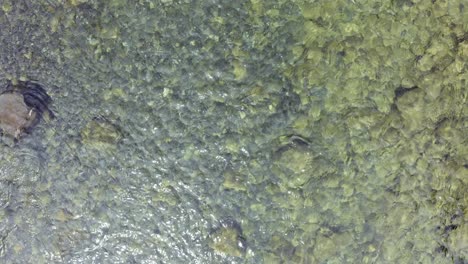 Drohne-Schwebt-über-Einem-Wunderschönen-Türkisfarbenen-Klaren-Fluss