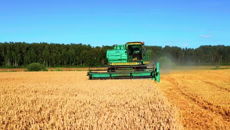 -Harvesting-The-Wheat-With-Combine-Harvester-In-Lithuania---pullback