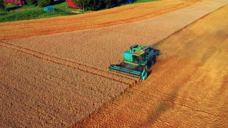 Aerial-Of-Combine-Harvester-Working-In-Wheat-Field-In-Summer---drone-shot