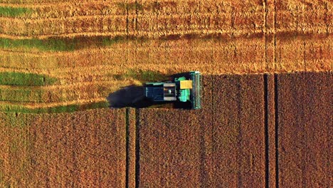 Bird's-Eye-View-Of-Combine-Harvester-On-Agricultural-Field-At-Sunset---drone-shot