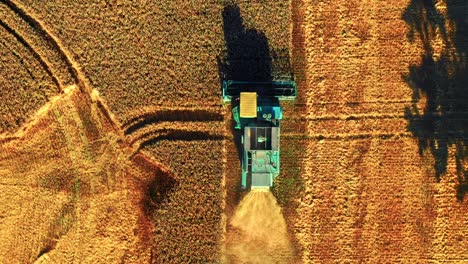 Top-Down-View-Of-Agricultural-Combine-Harvesting-Crop-In-Farm-Field-In-Lithuania---drone-shot