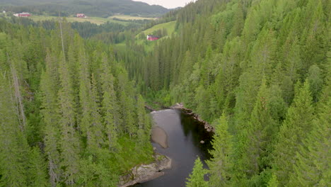Above-river-flowing-towards-Storfossen-waterfall-surrounded-by-evergreen-pine-trees