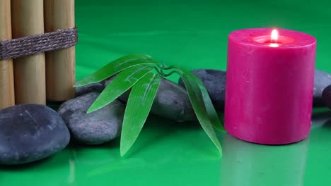 Red-candle-leaf-and-bamboo-invoking-tranquility
