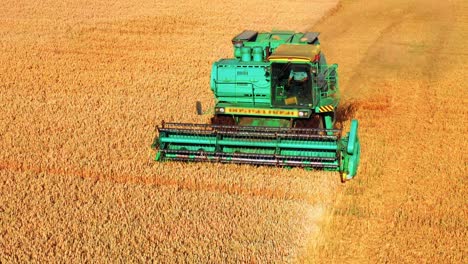 Farmer-In-Combine-Harvester-Tractor-Harvesting-Wheat-Crops-At-The-Field