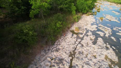 Luftaufnahmen-Von-Hirschen,-Die-Entlang-Des-Flusses-Pedernales-In-Texas-Spazieren-1