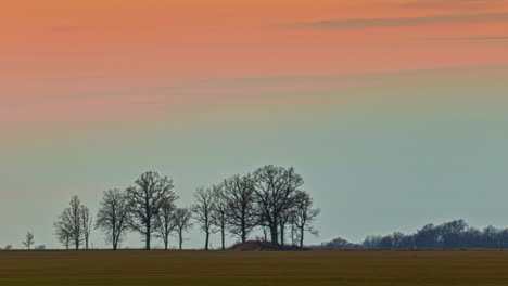 Silhouette-Von-Kahlen-Bäumen-Auf-Dem-Feld-Unter-Lebendigem-Sonnenuntergangshimmel-Während-Der-Herbstsaison