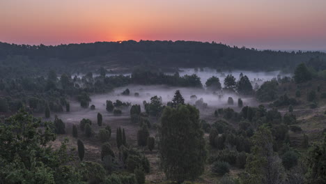 Sunrise-Timelapse-with-Fog-in-Heather-Landscape