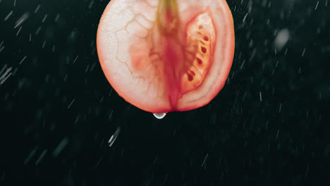 Tomatenscheibe,-Die-Von-Wassertropfennebel-In-Zeitlupe-Mit-Hintergrundbeleuchtung-Auf-Schwarzem-Hintergrund-Bespritzt-Wird