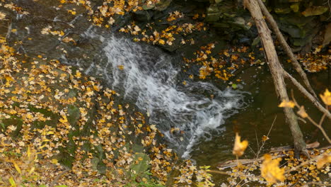 Gentle-stream-flowing-on-rocky-cascade-surrounded-by-autumn-fallen-leaves,-seasonal-landscape