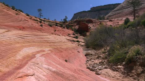 Utah-Erosionó-El-Patrón-De-Topografía-Slickrock-En-El-Parque-Nacional-Zion