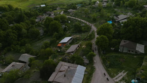 Aerial-View-Of-Cow-Herd-On-The-Road-Being-Guided-By-Shepherd-In-A-Small-Village-At-Sunset-In-Chobareti,-Georgia