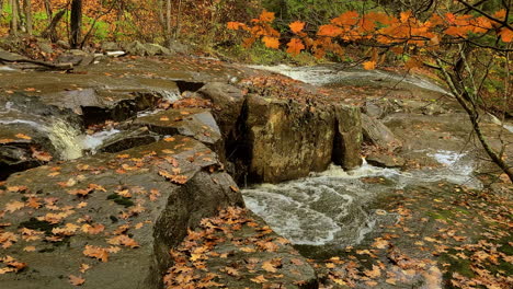 Herbstliche-Landschaft,-Kleiner-Fluss,-Der-An-Felsen-Entlang-Fließt,-Malerischer-Wald-Mit-Lebendigen-Farben