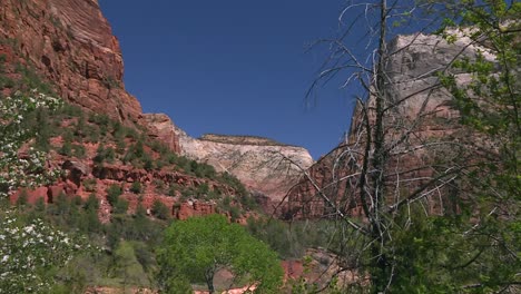 Zion-National-Park-Canyon-Steep-Rock-Formations-Establisher,-Zoom-In