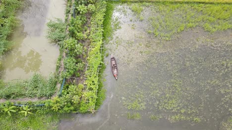 Aerial-Overhead-View-Of-Villager-Pushing-Boat-Over-Flooded-Paddy-Fields-In-Rural-Bangladesh
