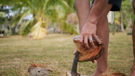 Slow-motion-close-up-of-man-using-iron-spike-to-husk-fresh-organic-coconut