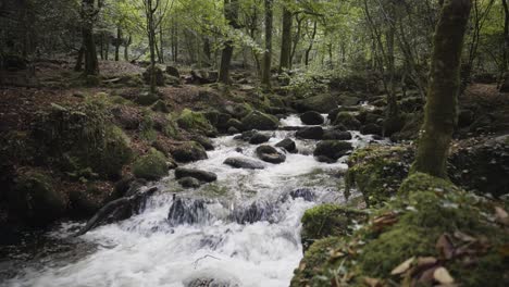 Fast-Flowing-River-In-The-Woods---Kennall-Vale-In-Cornwall,-England,-UK---wide-shot
