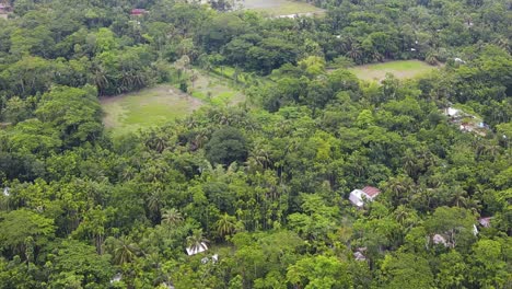 Remote-jungle-village-in-Bangladesh,-aerial-drone-view