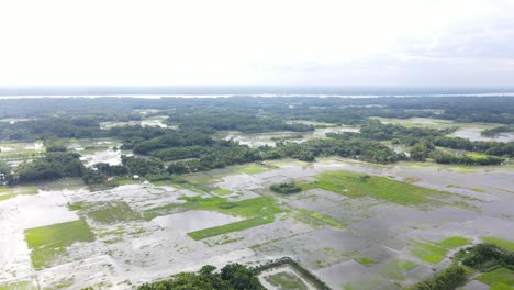 Antenne-Fliegt-über-überschwemmte-Reisfelder-In-Der-Barisal-Region-Von-Bangladesch-Aufgrund-Des-Zunehmenden-Klimawandels