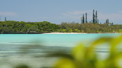 Looking-over-a-tropical-plant-in-the-foreground-to-reveal-a-picturesque-lagoon-on-the-Isle-of-Pines,-New-Caledonia