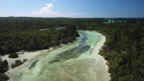 Laguna-flowing-into-the-Oro-Bay-in-the-background-on-the-Isle-of-Pines---ascending-aerial-view