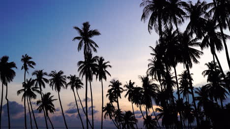 Silhouette-of-palm-trees-by-ocean-coast-at-dusk