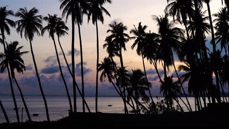 Filmischer-Sonnenuntergang,-Silhouette-Von-Palmen-Am-Meer,-Vietnam