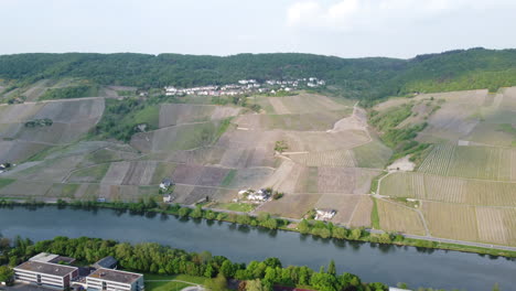 Moselle-River-with-Steep-Winery-Vineyards-on-Mountain-Slope,-Aerial