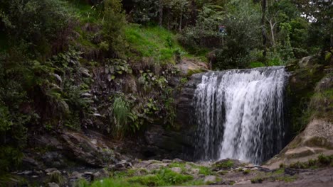Fresh-Oakley-Creek-Wasserfall-In-Auckland,-Neuseeland-Bei-Sonnenuntergang