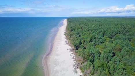 Aerial-panoramic-view-of-Baltic-sea-coast-on-a-sunny-day,-white-sand-dunes-damaged-by-waves,-broken-pine-trees,-coastal-erosion,-climate-changes,-wide-angle-drone-shot-moving-forward-1