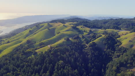The-green-rolling-topography-of-Mt-Tamalpais,-California---aerial-view-of-picturesque-landscape