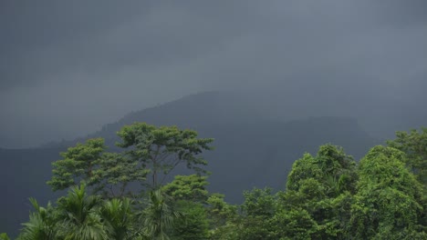 During-the-monsoons,-the-landscape-or-mountain-scenery-of-North-Bengal-becomes-beautiful-1