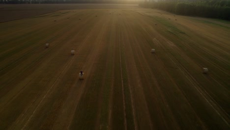Aerial-drone-shot-over-a-large-golden-field-with-man-sitting-on-a-hay-bale-or-straw-bale-after-harvest-during-evening-time