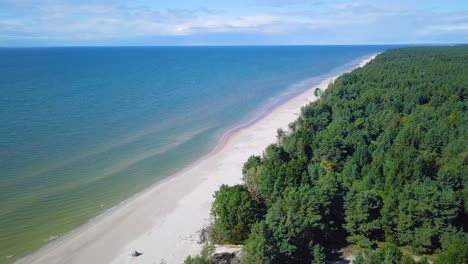 Aerial-panoramic-view-of-Baltic-sea-coast-on-a-sunny-day,-white-sand-dunes-damaged-by-waves,-broken-pine-trees,-coastal-erosion,-climate-changes,-wide-angle-drone-shot-moving-forward