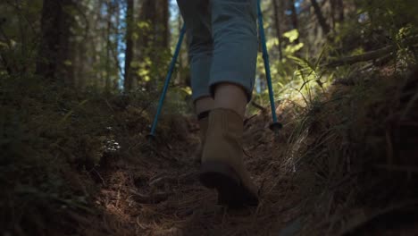 Tracking-shot-of-person-hiking-in-the-forest,-walking-on-hiking-trail