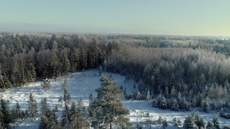 Eine-Weite-Bewaldete-Landschaft-Im-Winter-Mit-Frost-Auf-Den-Immergrünen-Bäumen---Rückzug-Aus-Der-Luft