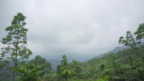 During-the-monsoons,-the-landscape-or-mountain-scenery-of-North-Bengal-becomes-beautiful
