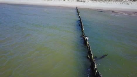 Aerial-birdseye-view-of-Baltic-sea-coast-on-a-sunny-day,-old-wooden-pier,-white-sand-dunes-damaged-by-waves,-coastal-erosion,-climate-changes,-wide-angle-drone-shot-moving-forward-1