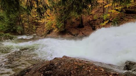 A-forest-creek-plunges-down-like-a-huge-waterfall-over-the-rocks-between-the-trees