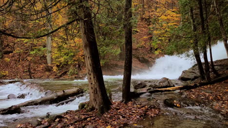 Peaceful-nature-scene-with-waterfall-in-river,-fall-foliage-in-forest