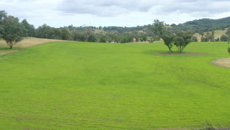 4k-Luftdrohne-über-Grüner-Haferfeldbauernhoflandschaft,-Australien