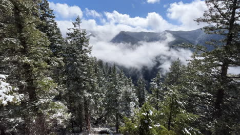 Camine-Hasta-Mt-Storm-King-En-El-Estado-De-Washington-Con-Nieve-En-Los-árboles-Y-Nubes-Debajo-De-Los-Picos-De-Las-Montañas