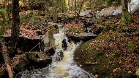 Relaxing-forest-scene-as-stream-flow-over-mossy-rocks-in-fall-season