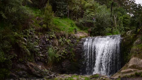 Oakley-Creek-Wasserfall-Unter-üppigem-Buschland-Und-Hohen-Bäumen